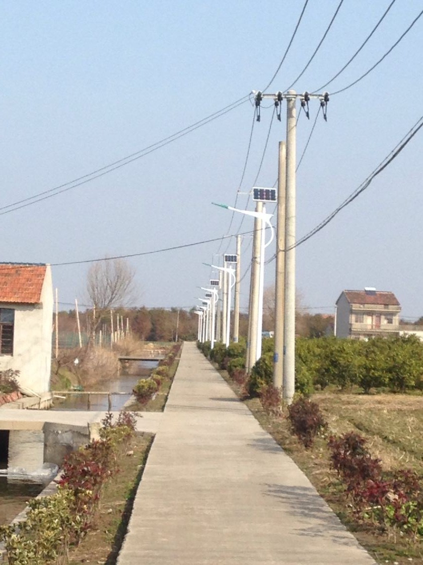 上海崇明新农村太阳能路灯建设