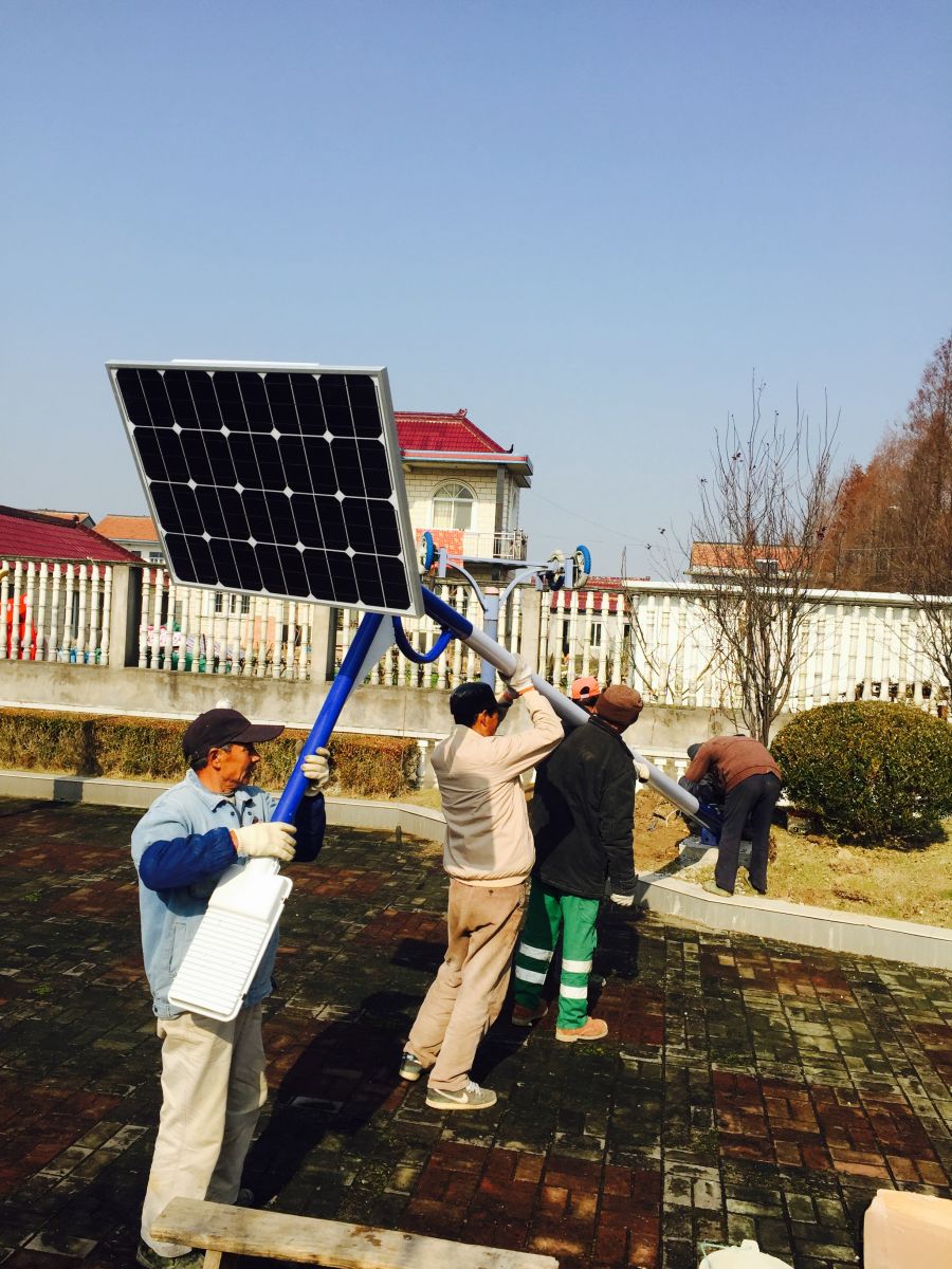 上海崇明岛第四批太阳能路灯建设